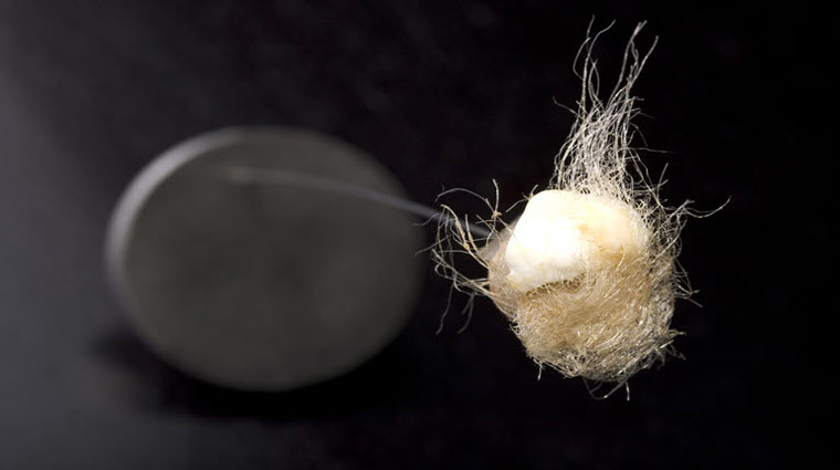 Alinea Food Presentation